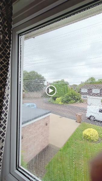 Spotless Window Cleaning