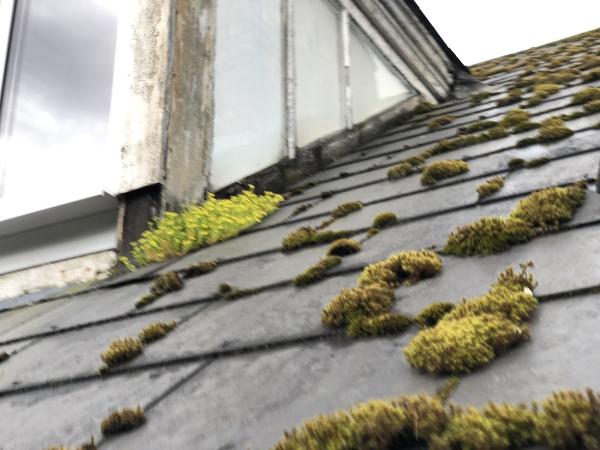 Changes Painting and Decorating Services