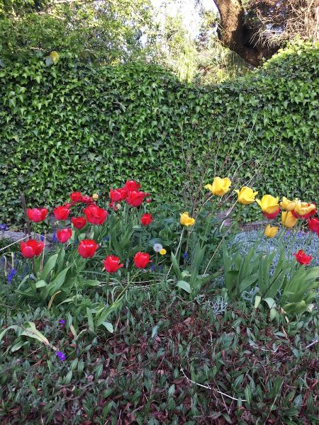 Bloom Gardening