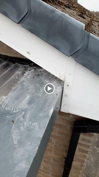 AS Pest Control Solutions Mansfield