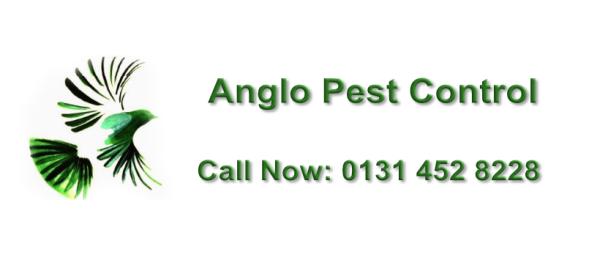 Anglo Scottish Pest Control