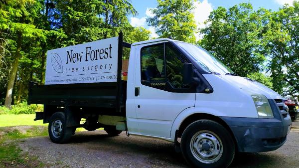 New Forest Tree Surgery