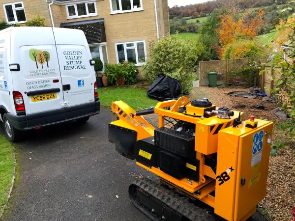 Golden Valley Stump Removal