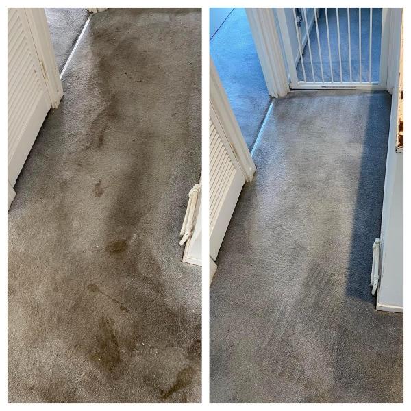 Herts Carpet Care