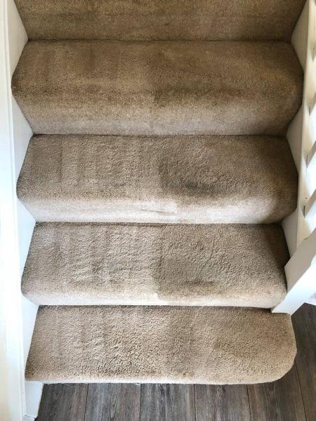 Herts Carpet Care