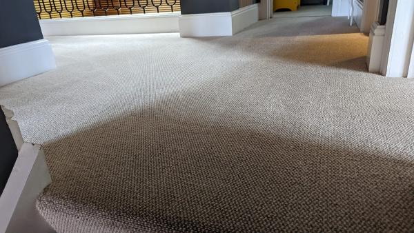 Next Level Carpet & Upholstery Cleaning