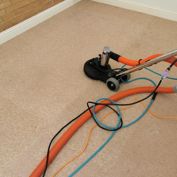 Next Level Carpet & Upholstery Cleaning