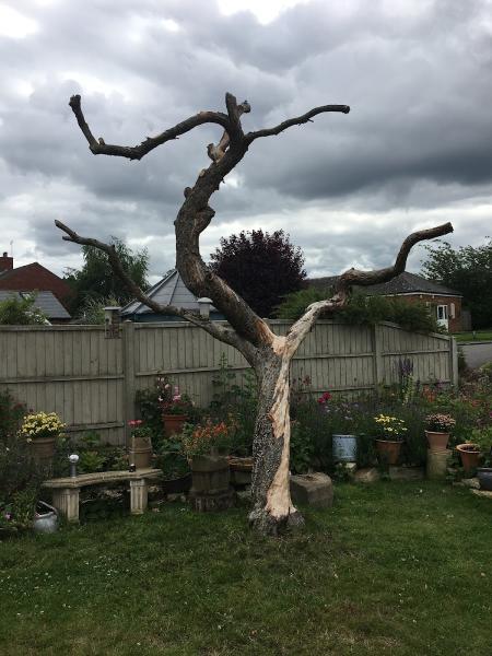 The Little Leaf Company