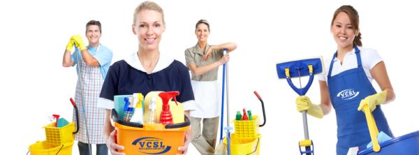 Vale Cleaning Services Ltd