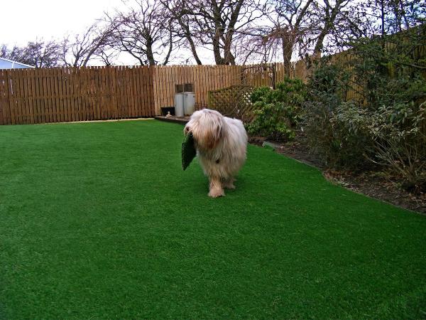 Artificial Turf Scotland