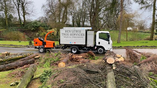 Ben Lewis Tree Services