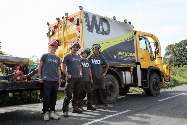 Wye and Dean Tree Services