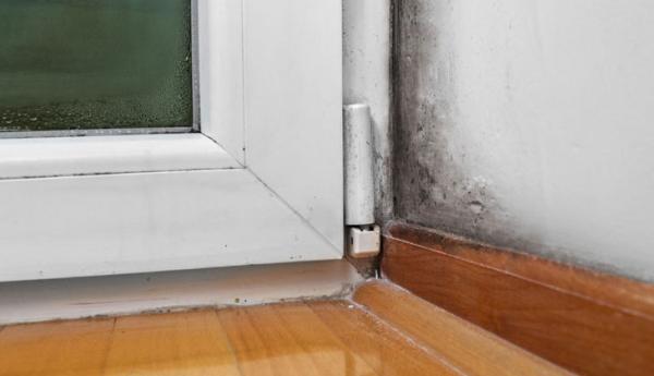 P Moody Building Contracts