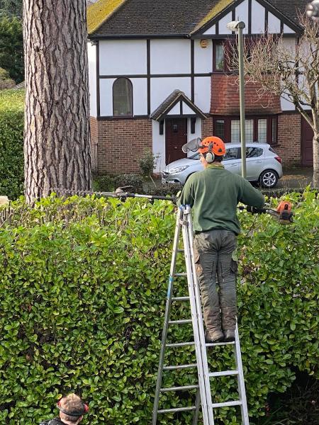 Woodland Services UK