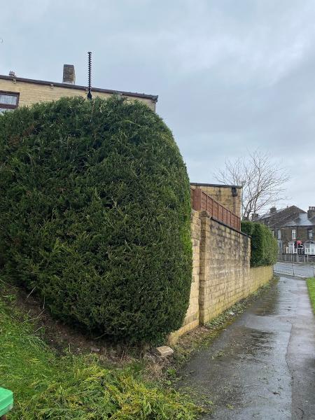 TCB Grounds Maintenance