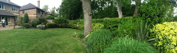 SMW (Tree) Consultancy Ltd