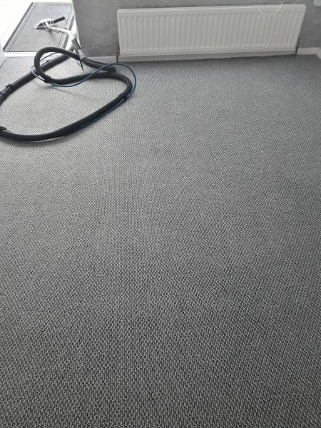 Washington Carpet Cleaning