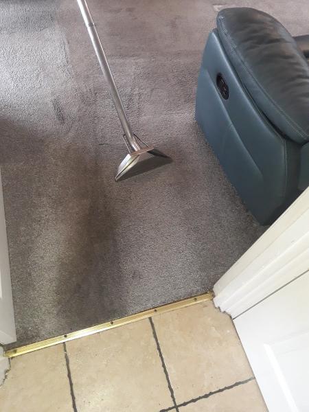 Washington Carpet Cleaning