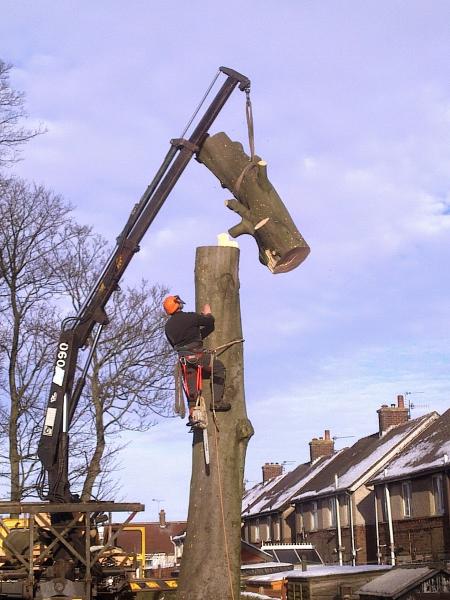 Bells Tree Surgery Ltd