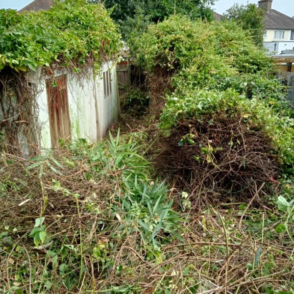 Oxford Community Gardeners