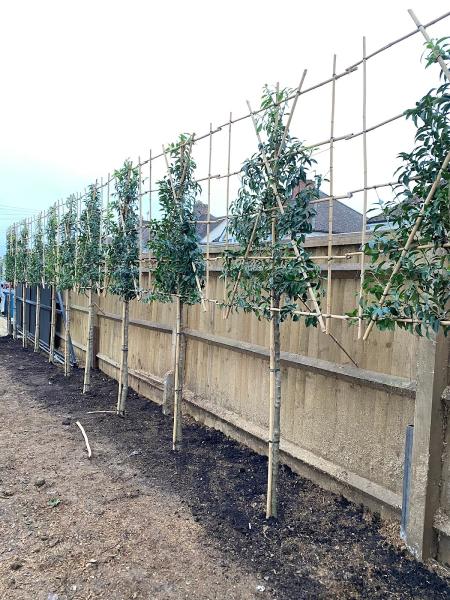 Oxford Community Gardeners