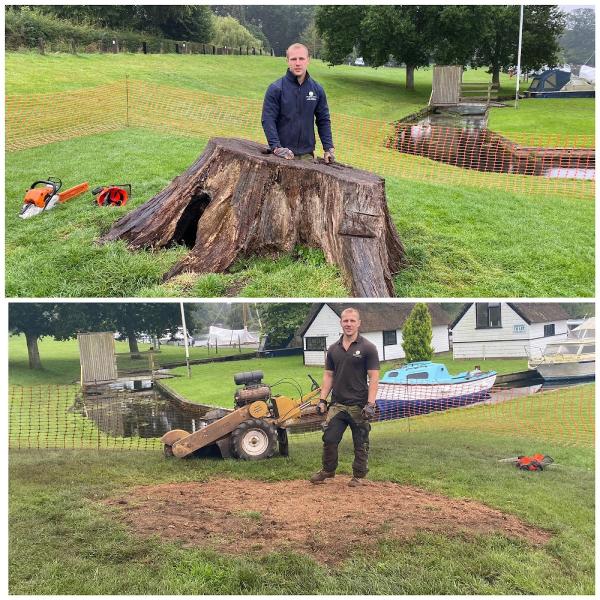 RG Services Stump Grinding and Garden Maintenance