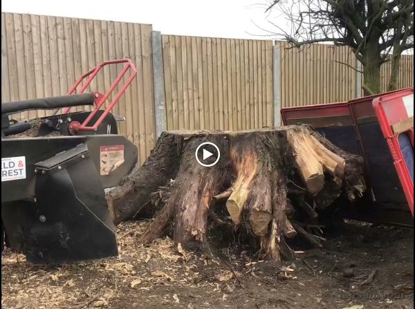 RG Services Stump Grinding and Garden Maintenance