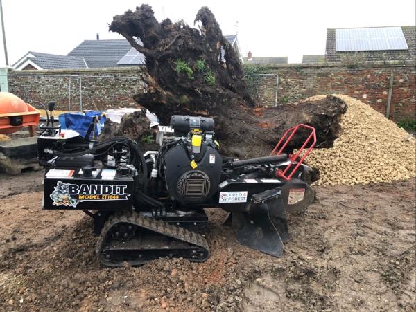 RG Services Stump Grinding and Garden Maintenance