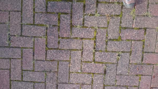 QPS Pressure Washing