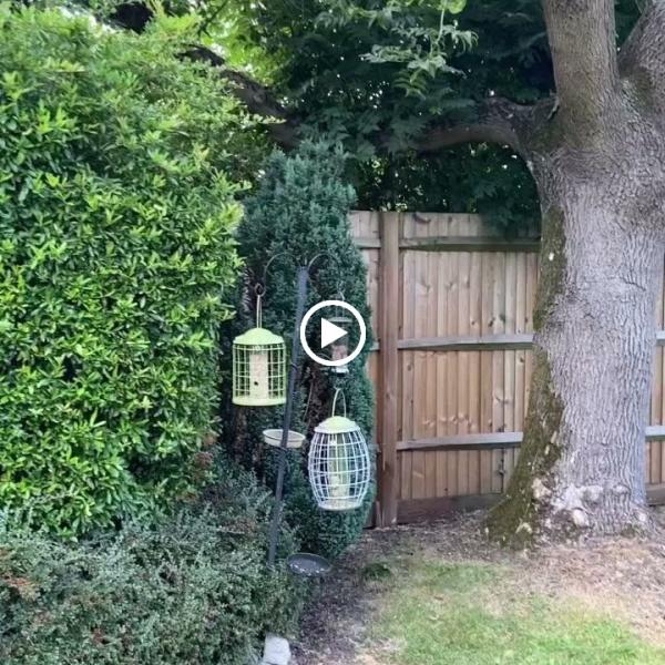 Building & Landscape Design by Keith Poynton