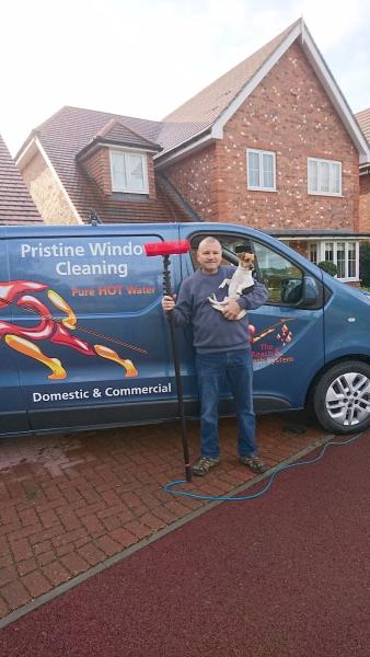 Pristine Window Cleaning