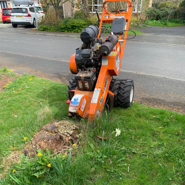 North East Stump Grinding