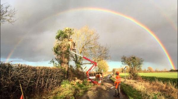 Finch Arboriculture Ltd