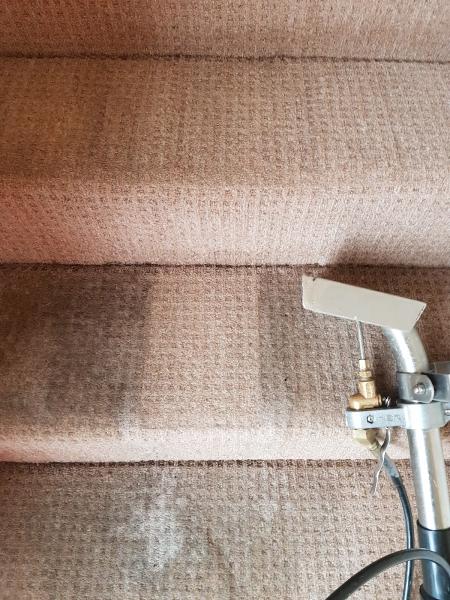 Premier Carpet & Upholstery Cleaning