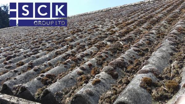 SCK Group Ltd