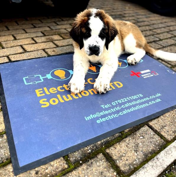 Electric-Cal Solutions LTD