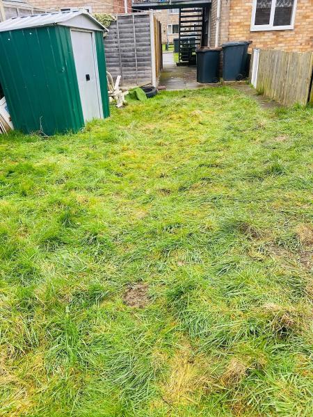 Mulligans Clearances