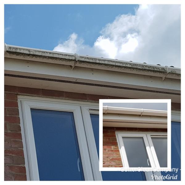 The Gutter Clean Company