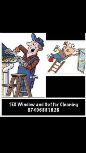 TES Window Cleaner AND Gutter Cleaning Services Horsham