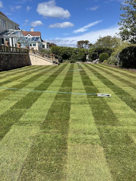 Smaldon Tree & Garden Services