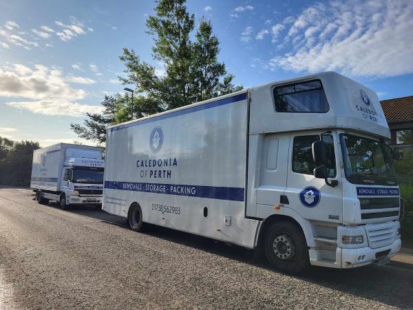 Caledonia Removals