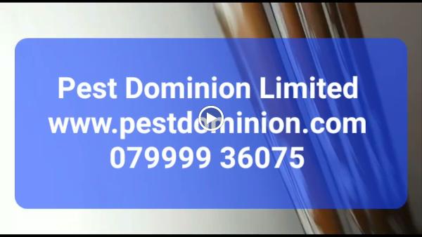 Pest Dominion Limited