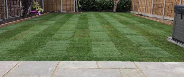 Essex Turf Laying