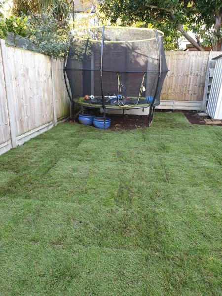 Essex Turf Laying