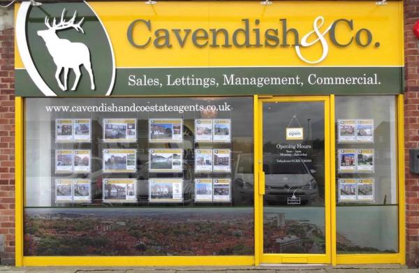 Cavendish & Co