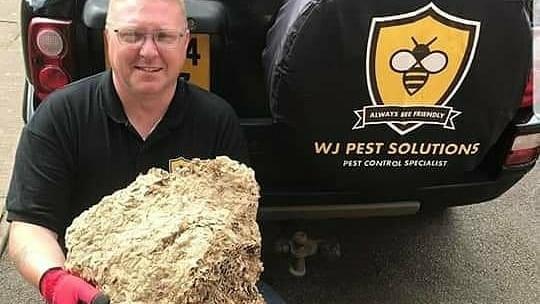 WJ Pest Solutions