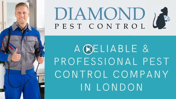 Diamond Pest Control