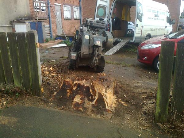 Lincolnshire Tree Stump Grinding Service