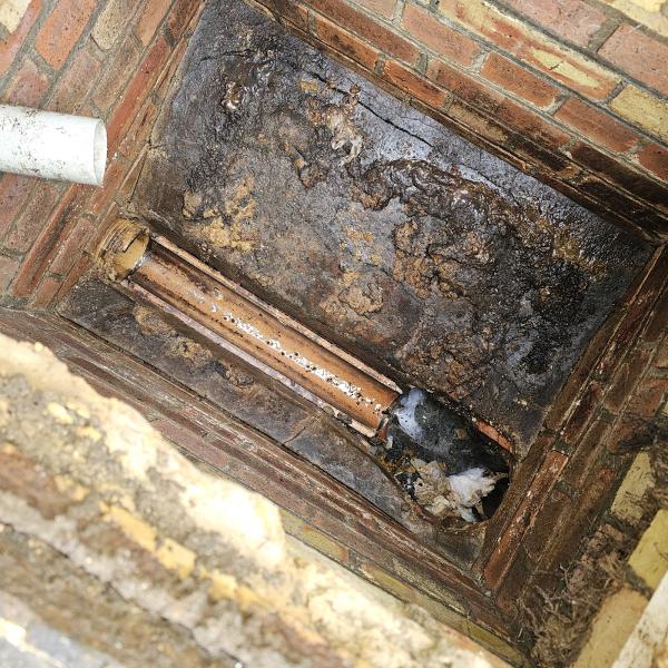 Redhill Pest Control