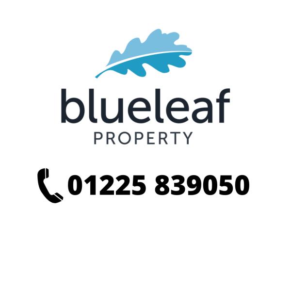 Blueleaf Property